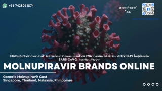 Generic Molnupiravir Capsules at Wholesale Price Singapore Thailand Malaysia Philippines