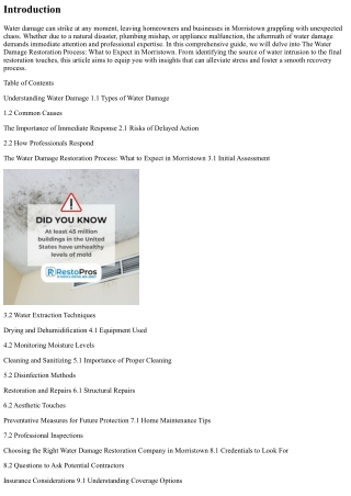 The Water Damage Restoration Process: What to Expect in Morristown