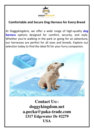 comfortable and secure dog harness for every