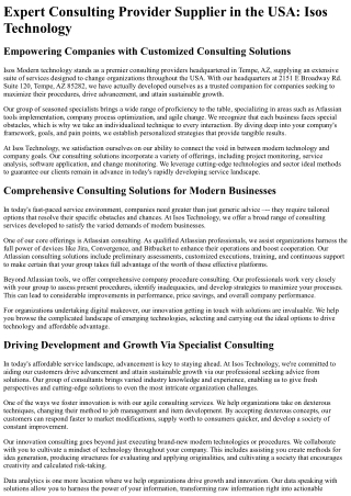 expert consulting provider supplier
