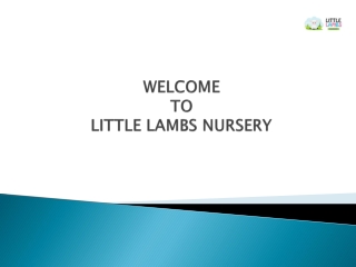 Top Facilities in Preschool – Little Lambs Nursery