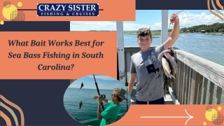 What Bait Works Best for Sea Bass Fishing in South Carolina