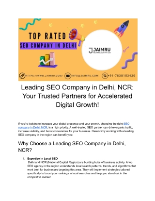 Best SEO Company in Delhi NCR (2)