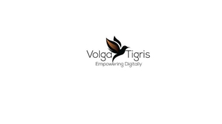 Mobile SEO Trends & Strategies _ Volga Tigris Digital Marketing