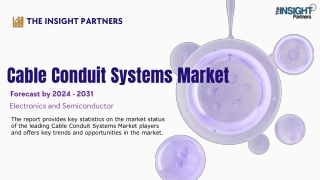 the insight partners
