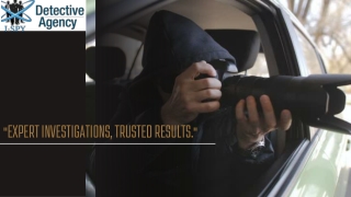 expert investigations trusted results