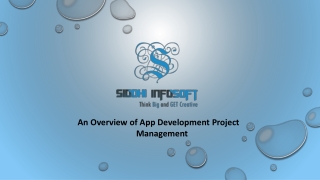 an overview of app development project management