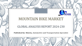 Mountain Bike Market Challenges and Opportunities in Industry Expansion