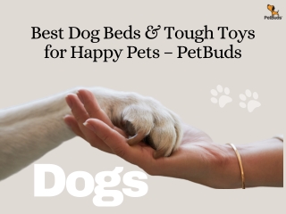 Best Dog Beds & Tough Toys for Happy Pets – PetBuds