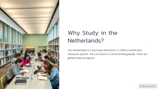 why study in the netherlands