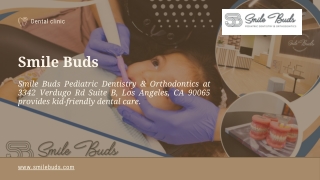 Dentist