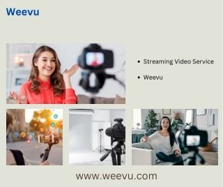 Weevu: Revolutionizing Customer Support Solutions