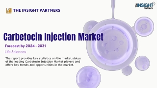 the insight partners