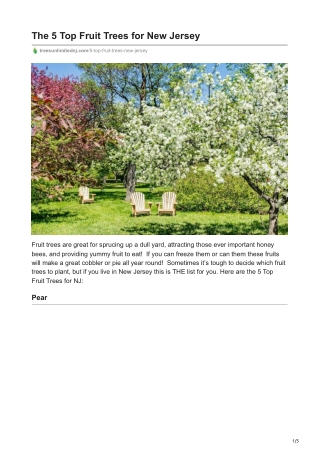 The 5 Top Fruit Trees for New Jersey - Trees Unlimited LLC