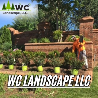 wc landscape llc wc landscape llc