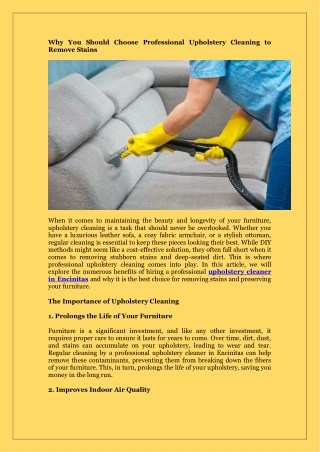 Why You Should Choose Professional Upholstery Cleaning to Remove Stains