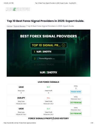 Top 10 Best Forex Signal Providers in 2025_ Expert Guide PDF