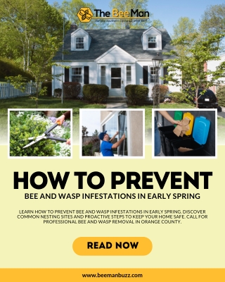 How to Prevent Bee and Wasp Infestations in Early Spring