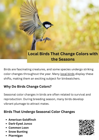 Local Birds That Change Colors with the Seasons
