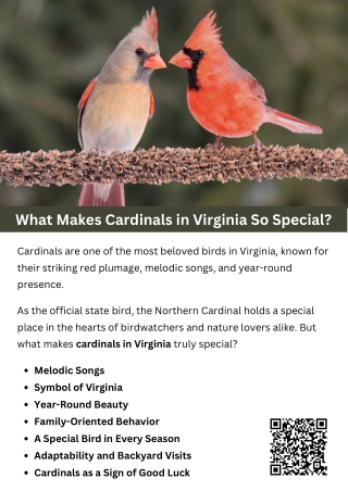 What Makes Cardinals in Virginia So Special?