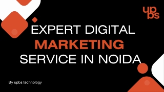 Expert Digital Marketing Service in Noida