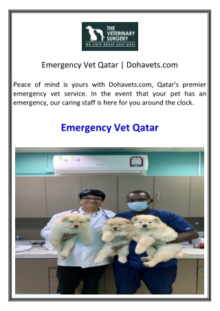 Emergency Vet Qatar  Dohavets.com