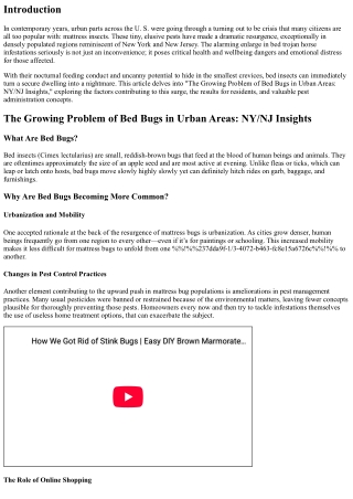 “The Growing Problem of Bed Bugs in Urban Areas: NY/NJ Insights”