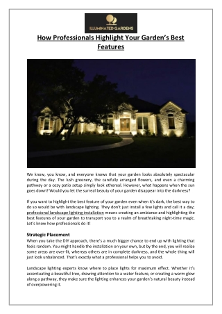 How Professionals Highlight Your Garden’s Best Features - Illuminated Gardens