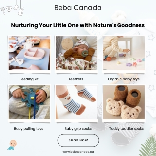 bebacanada pdf 1