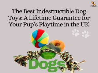 Indestructible Dog Toys