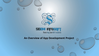 an overview of app development project