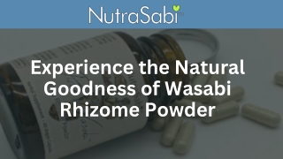 Experience the Natural Goodness of Wasabi Rhizome Powder