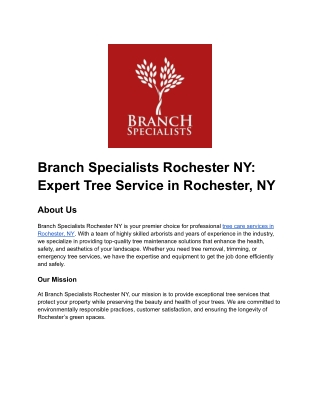 Branch Specialists Rochester NY_ Expert Tree Service in Rochester, NY