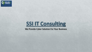 ssi it consulting