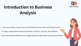 business analyst