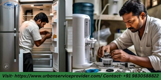Professional Home Appliance Repair Services for All Families