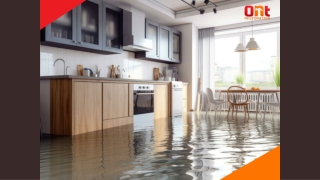 Cleaning and Restoring Carpets, Furniture, and Walls After a Flood – Water Damage Restoration To The Rescue
