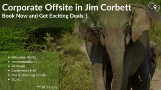 Corporate Offsite in Jim Corbett | The Ultimate Destination for Team Outings
