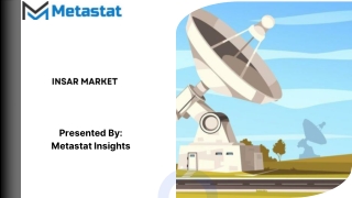 insar market