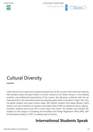 Cultural Diversity - Piet NCR College