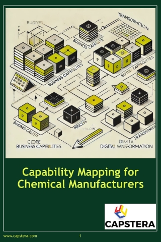 Capability Mapping for Chemical Manufacturers
