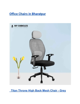 Office Chairs in Bharatpur