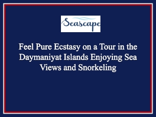 Feel Pure Ecstasy on a Tour in the Daymaniyat Islands Enjoying Sea Views and Snorkeling