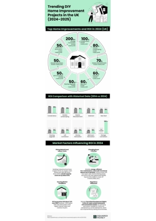Home Improvement Index (2024-2025)