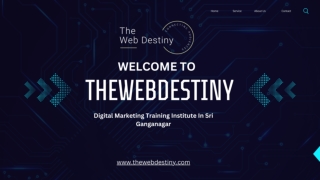 Best Digital Marketing Training Institute In Sri Ganganagar