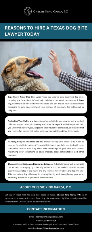 Reasons to Hire a Texas Dog Bite Lawyer Today