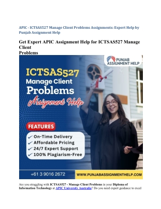 apic ictsas527 manage client problems assignments