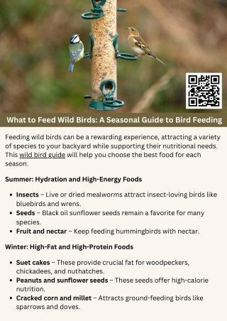 What to Feed Wild Birds: A Seasonal Guide to Bird Feeding