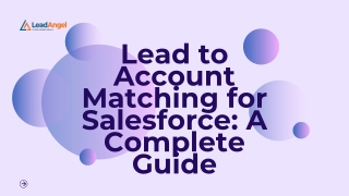 lead to account matching for salesforce