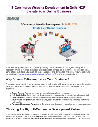E-Commerce Website Development in Delhi NCR: Elevate Your Online Business